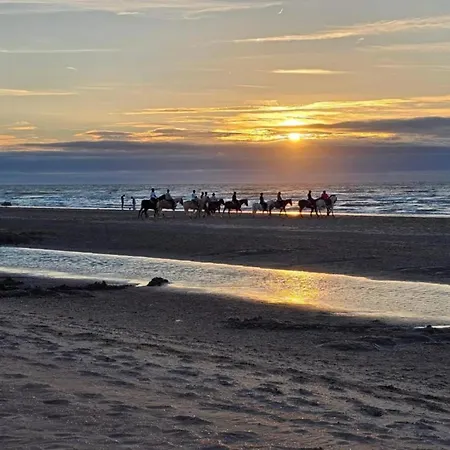 Nieuwpoort With Stunning Sea View, Cleaning Included